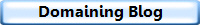 Domaining Blog